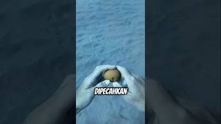 Penyelam ini Eksperimen memecahkan Telur di Dalam Laut shortvideo trending viralvideo [upl. by Naiditch]