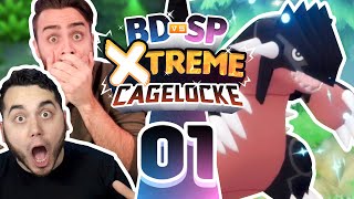 EXTREME RANDOMIZER Pokemon Brilliant Diamond amp Shining Pearl Cagelocke aDrive [upl. by Cacka]