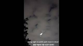 Spring night at public park moon in cloud [upl. by Nyletak]