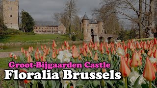 Floralia Brussels 2021  Spring flower  GrootBijgaarden Castle  Tulip garden in Belgium  4K [upl. by Rudolf]