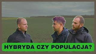 Hybryda czy populacja Rzepak nawożony pofermentem Wizyta u widza  epole [upl. by Ykcin]