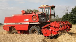 Classic 1970s Massey Ferguson 525 combine  Harvesting spring barley [upl. by Helaina]