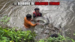 8 HARI CARI SIDAT IKAN UDANG BUAH amp BIKIN MAKANAN MEWAH DI ALAM SULAWESI😅 bocahpecicilan [upl. by Erret744]