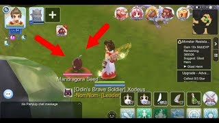 How to find Mandragora Seed  Ragnarok M [upl. by Trainor]