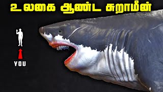 கடல் ராஜாவாக வாழ்ந்த மாபெரும் சுறாமீன்  Megalodon Shark [upl. by Aihsemot]