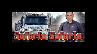 SOFERIE SOFERIE COLAJ PENTRU SOFERI MUZICA SORINEL DE LA PLOPENI 2017 [upl. by Haag814]