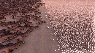 1000 TREX vs 80000 CHICKENS  Ultimate Epic Battle Simulator [upl. by Helgeson]