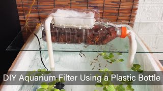 DIY Aquarium Filter Using a Plastic Bottle – Easy and Cheap [upl. by Eical]