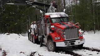 Rotobec Elite loader working hard in the northern USA Featuring cotontop3  Rotobec logloader [upl. by Annail]