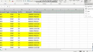 SupportingReference In Financial Accounting Hub [upl. by Normak610]