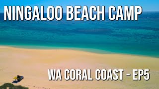 WA Coast Trip Ep5 Ningaloo Coat Part2 [upl. by Westphal278]