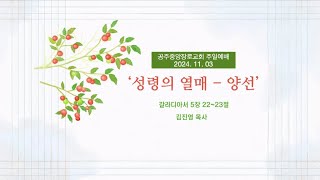 2024년 11월 03일 공주중앙장로교회 주일3부예배 [upl. by Ellwood80]