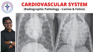 CardioVascular System  Radiology  Lecture 15 [upl. by Eyla]