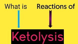 What is Ketolysis  Pathway II Ketone bodies utilisation II Why liver cant utilise ketone bodies [upl. by Rachael]