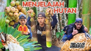 1 Hari Menjelajah Hutan Mencari BuahMancing ikan amp Masak di Pingir sungai [upl. by Anekahs]