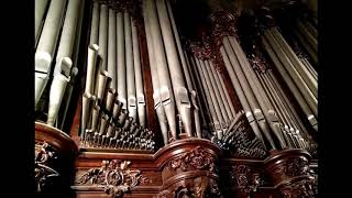 J P Rameau  quotLe Rappel des Oiseauxquot by Kauff  Organ [upl. by Dilahk681]