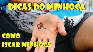 Dicas do Minhoca  Como iscar minhoca deixando ela viva [upl. by Nosbig]