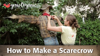 How to Make a Scarecrow  Step By Step Craft Project [upl. by Ennairek]