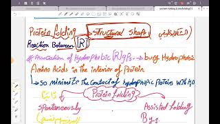 Lecture 5 protein chemistry [upl. by Thatcher]