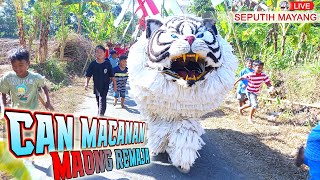 FULLKIRAB CAN MACANAN KEJAR BOCIL  MAONG REMAJA LIVE SEPUTIH MAYANG  LION DANCE [upl. by Kermit178]