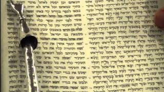 Yom Kippur Torah Reading Rabbi Weisblum יום כיפור קריאת תורה הרב ויסבלום [upl. by Eecyak]