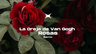 La Oreja de Van Gogh  Rosas Plot Remix [upl. by Reta]