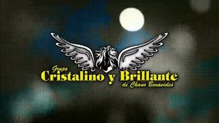 Grupo Cristalino y Brillante quotBailar Pegadosquot Video Lyrics Oficial [upl. by Notsla866]