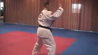 Sheldon Family Taekwondo ATA Green Belt Form [upl. by Mines201]