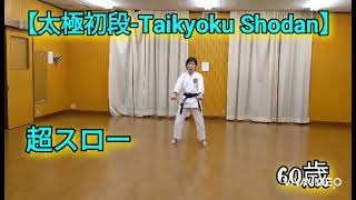 分かりやすい！超ゆっくり空手形【太極初段タイキョクショダン】karate 空手 松濤館流ShotokanSuperslowly [upl. by Yerak]