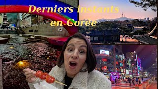 Vlog 5  Derniers jours en Corée folles journées [upl. by Werra397]