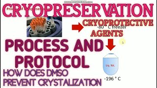 Cryopreservation ll process and protocol for cryopreservation ll Xgene and proteinX [upl. by Naggem]