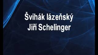 Švihák lázeňský  Jiří Schelinger Karaoke tip [upl. by Haelahk]