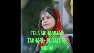 Afghan Song Tela Mohammad Takhari  Dilam Dar Migira دلم در میگیره [upl. by Leelaj]