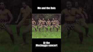 Meshuggah Haka [upl. by Pressman885]