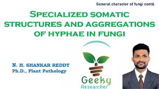 Lec 5 Specialized Somatic Structures and Aggregations of Hyphae in Fungi  Plant Pathology [upl. by Ocinemod]