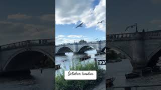 October london  autumn in uk  Richmond river side london  weekend tour in London lifeinlondon 🥰 [upl. by Nek]