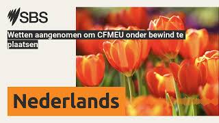 Wetten aangenomen om CFMEU onder bewind te plaatsen  SBS Dutch  SBS Nederlands [upl. by Galloway]