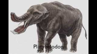 PREHISTORIC ANIMALS A TO Z [upl. by Britt]