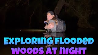 Exploring flooded woods at night [upl. by Limaj]