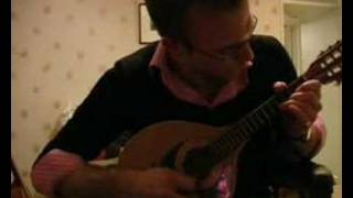 O Sole Mio on the Mandolin [upl. by Anilram]