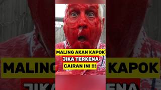 Maling Akan Kapok Jika Di Semprot Dengan Cairan ini‼️ [upl. by Bucher]