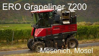 ERO Grapeliner 7200 Traubenernter an der Mosel [upl. by Lias]