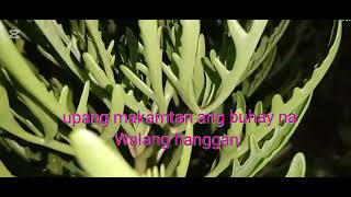 Ang Salita Moy ilawan [upl. by Druce]