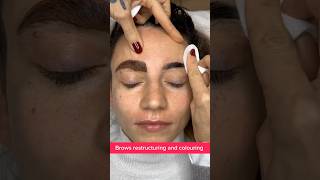 Brows restructuring and colouring 12 juliedesigner allaboutbrows easybrows youtubeshorts [upl. by Eelannej]