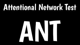 Attentional Network Test  ANT  Selective Attention Test [upl. by Beckman114]