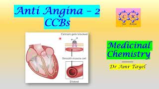 CVS part 2 Anti Angina 2 CCBs  Medicinal Chemistry T  PDF 👇 [upl. by Lippold]