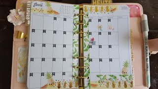 ♡♡FILOFAX Monatsübersicht Juni  June Monthly Overview♡♡ [upl. by Belcher156]