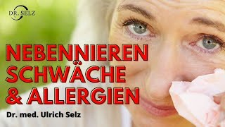 Nebennierenschwäche und Allergien  die Gründe [upl. by Anivol272]