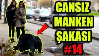 CANSIZ MANKEN ŞAKASI  15 BÖLÜM  \u00100 KOMEDİ [upl. by Jerrilee108]