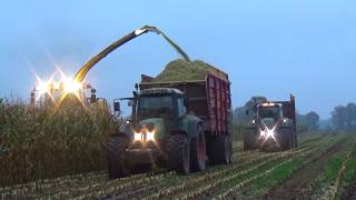 Meenderink chopping corn [upl. by Akelam624]